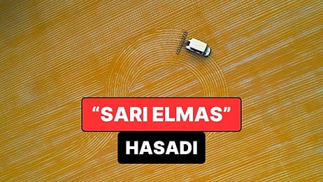 Nizip’te “Sarı Elmas” Hasadı: Bulgur Mesaisi Gece Gündüz Sürüyor