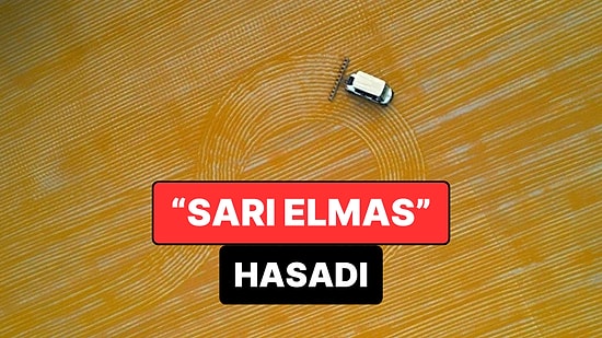 Nizip’te “Sarı Elmas” Hasadı: Bulgur Mesaisi Gece Gündüz Sürüyor