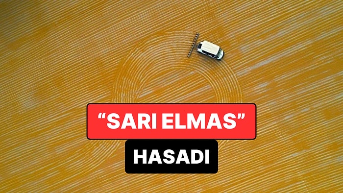 Nizip’te “Sarı Elmas” Hasadı: Bulgur Mesaisi Gece Gündüz Sürüyor