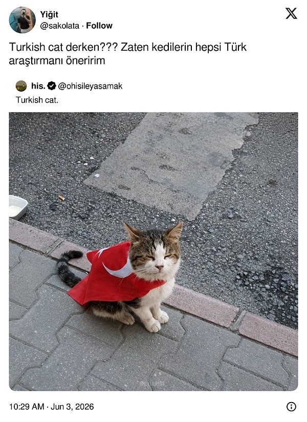 Başlayalım!