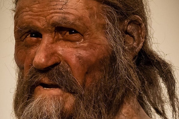 Ötzi'nin üzerinde binlerce yıl öncesine ait antik mikroorganizmalar keşfedildi.