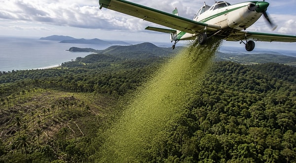 The operation carried out under the coordination of the Paraná Water and Soil Institute's Air Operations Center represents a technological and strategic response against the exploitation of nature.