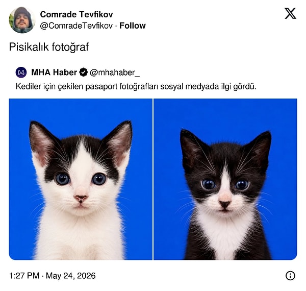 Kapatalım...