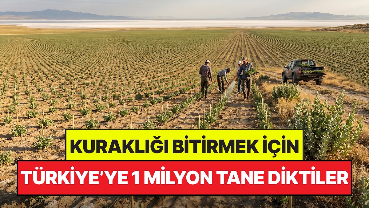 Türkiye'deki Kuraklığı Bitirmek İçin 1 Milyon Adet