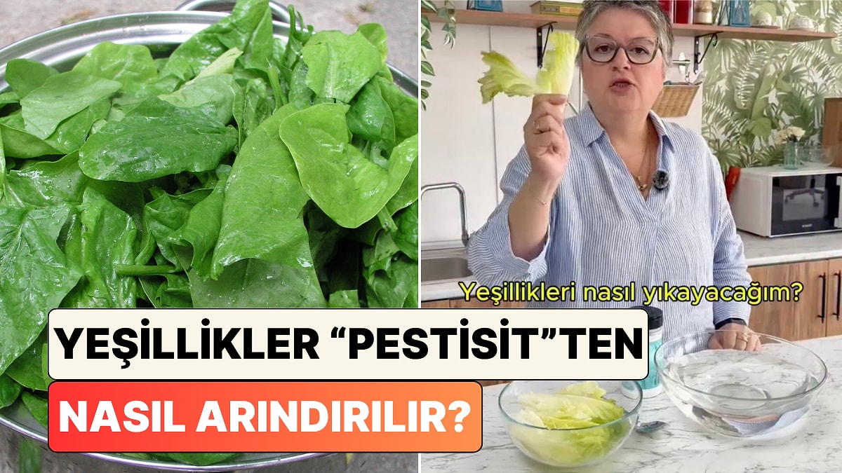 Uzman Gıda Mühendisi Tuğba Bayburtluoğlu Yeşillikleri Pestisitten Arındırma Yöntemini Paylaştı