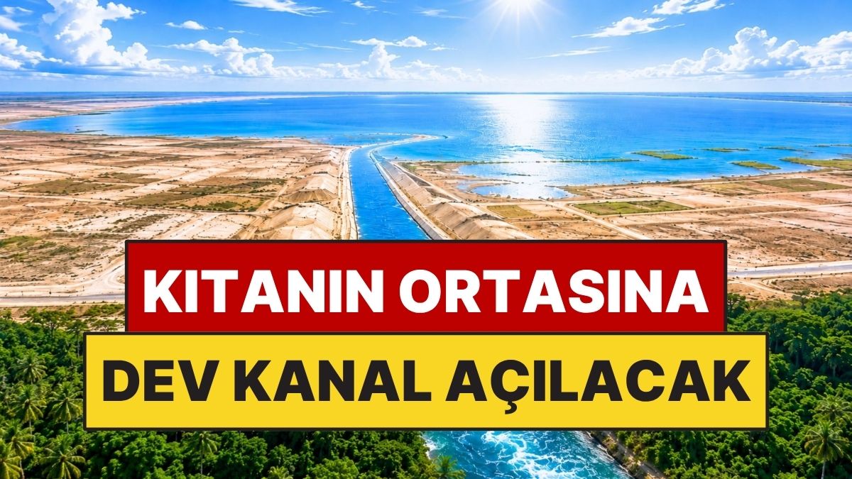 Transaqua Project Transaqua Projesi Nedir? Çad Gölü'nü Kurtarabilir mi? - Onedio