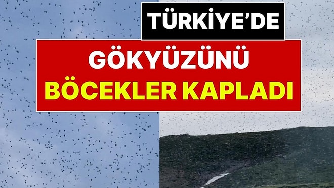 Türkiye’de Ender Rastlanan Doğa Olayı: Gökyüzünü Böcekler Sardı