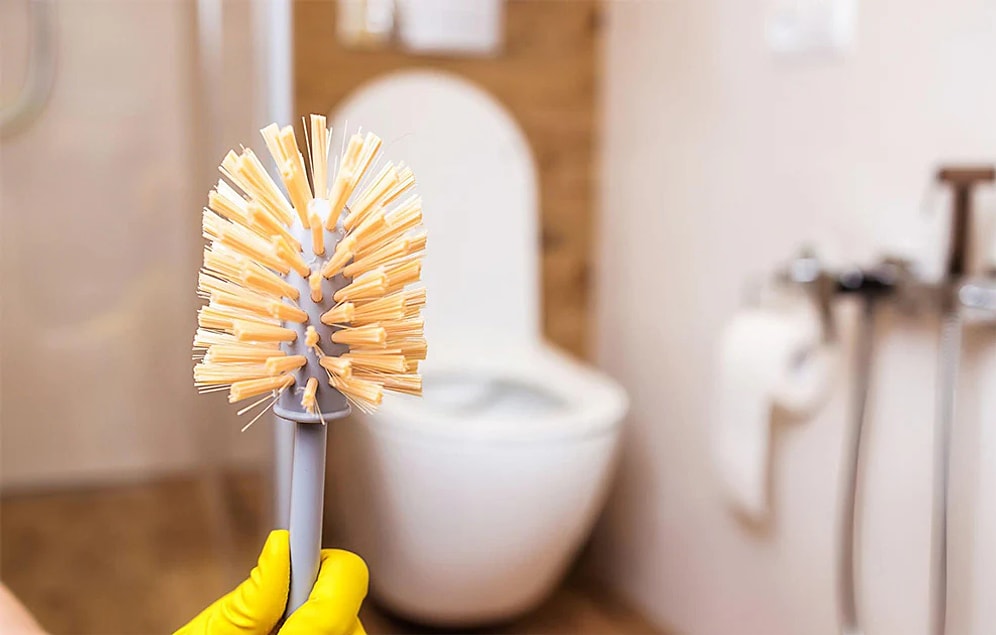 The Ultimate 2-Ingredient Trick to Deep Clean Your Toilet Brush and Kill All Germs