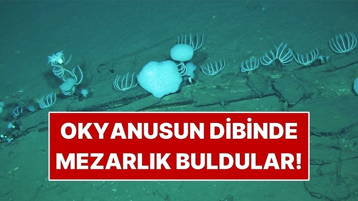 Okyanusun 7 Bin Metre Altında Dev Bir Mezarlık Keşfedildi