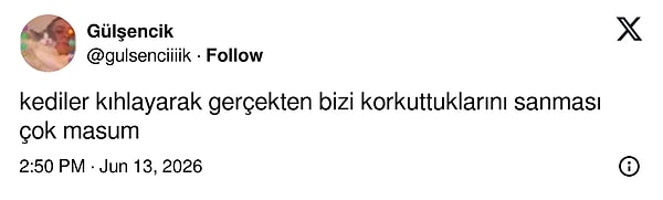 Ben korkuyorum kediler.