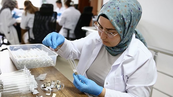 Doğaya Bırakılan Minik Canlıların İnsan Sağlığına Yönelik Herhangi Bir Riski Bulunmuyor