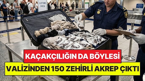 Kaçakçılığın da Böylesi: Valizinden 150 Adet Canlı Zehirli Akrep Çıktı