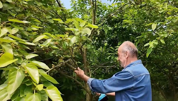 Otuz yıllık eğitimcilik kariyerinin ardından yönelinen bu yeni sektörde devlet destekleri ile üretim alanı kuruldu