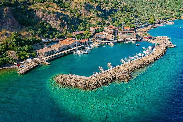 7. Assos