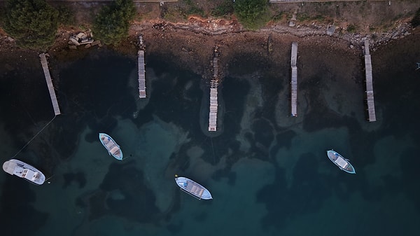 Teknelerle vakit geçirmek Ege'ye özgü deneyimlerden.