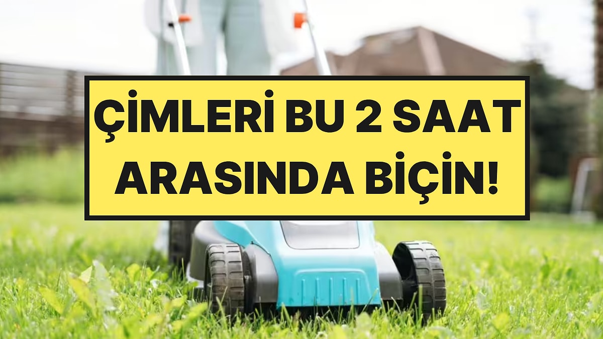 Bahçe Uzmanları Yazın Çimleri Biçmenin Altın Saatini Açıkladı