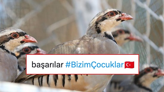 Kenelerin Canını Okuyacak Kahraman Keklikler Sahaya Çıkınca X’te Mizah Şov Başladı
