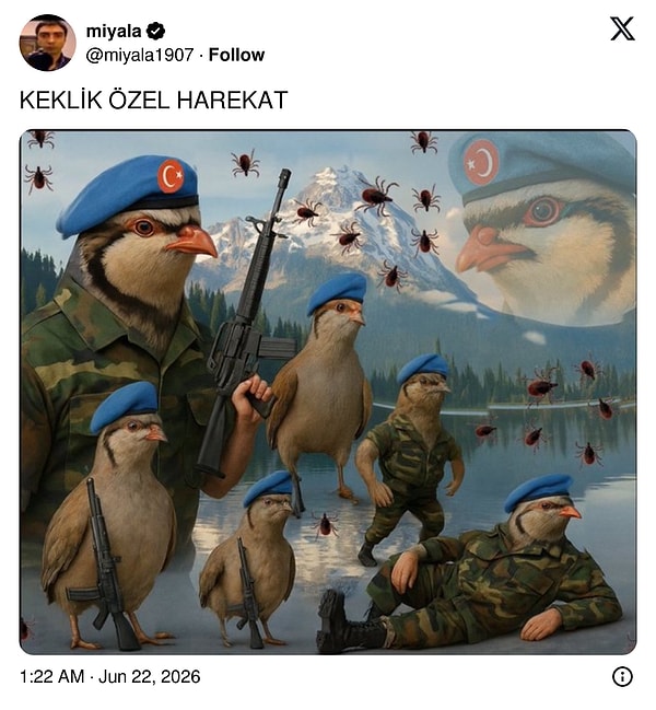 👇🏻