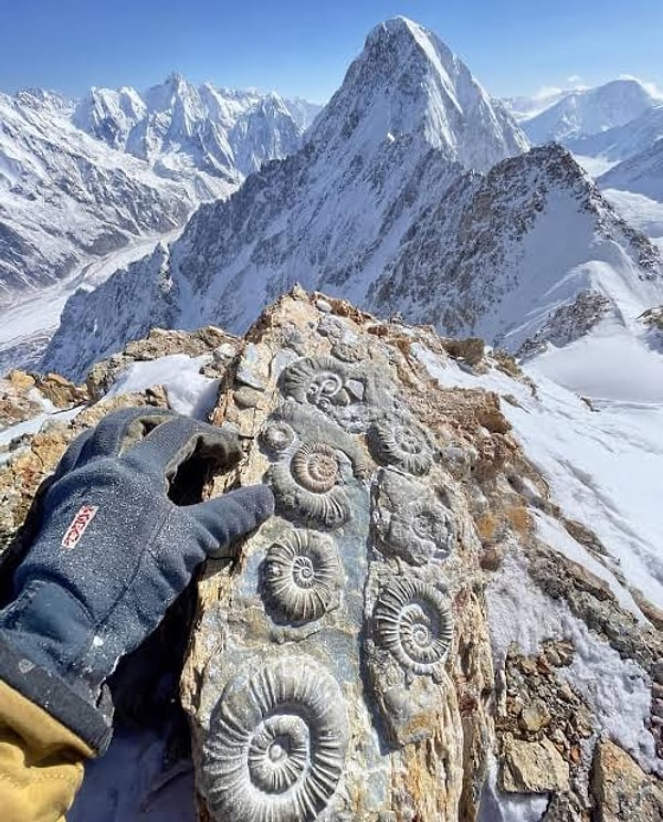 Jeologlar, Everest'in zirvesini oluşturan ve Qomolangma Formasyonu olarak adlandırılan en üst kaya katmanının, tamamen denizel tortul kayalardan, özellikle de gri kireçtaşından oluştuğunu belirtiyor. İşin en çarpıcı yanı ise bu kayaların içinde hapsolmuş fosiller.