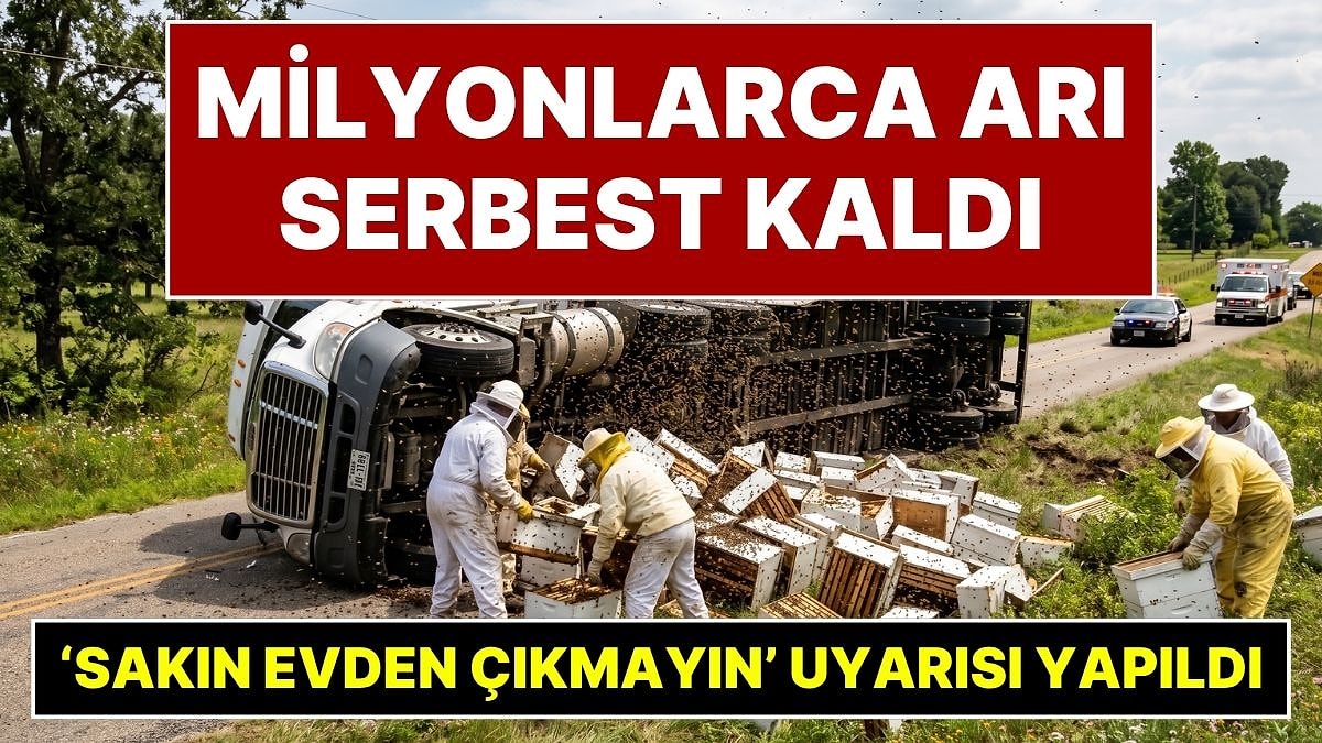 400 Kovanlık Tır Kazası: Milyonlarca Bal Arısı Serbest Kaldı, Halka "Evden Çıkmayın" Uyarısı Yapıldı