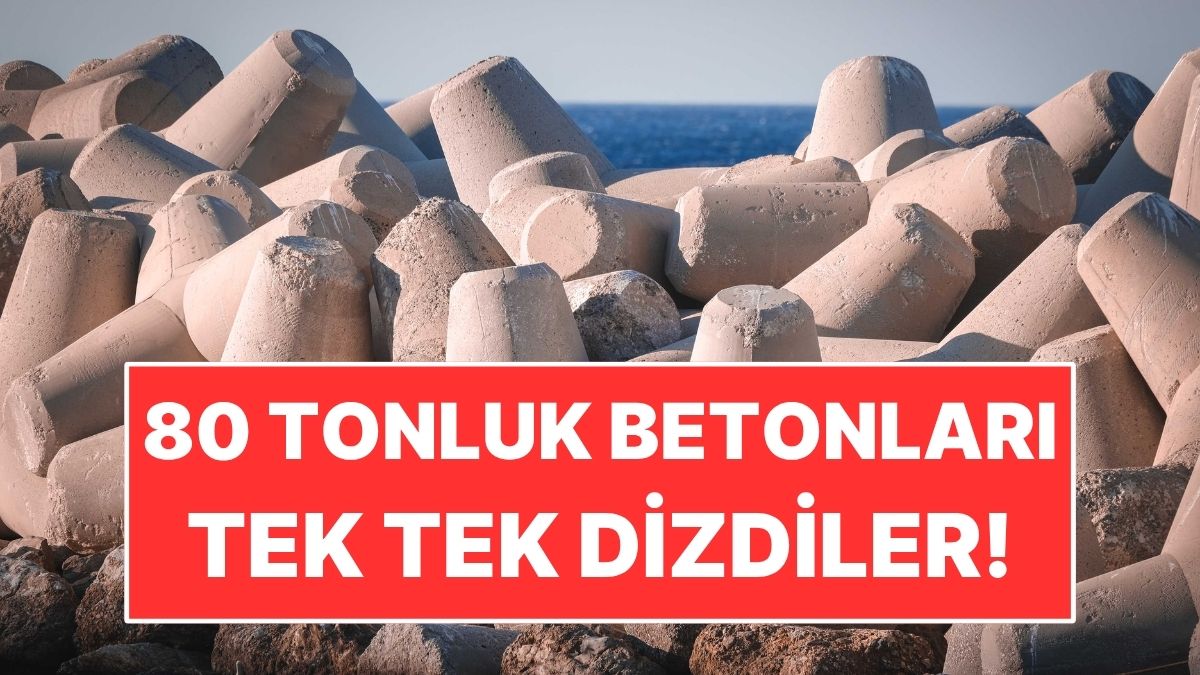 s-ca389804a117ce5c8fba5c0784d3eeab58fe53e9.jpg