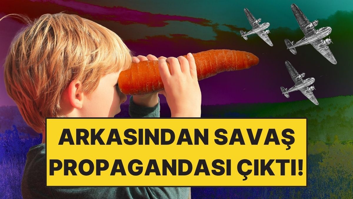 s-beee2a7307bccff29ee23e8ef3d5c5a18daf70c7.jpg