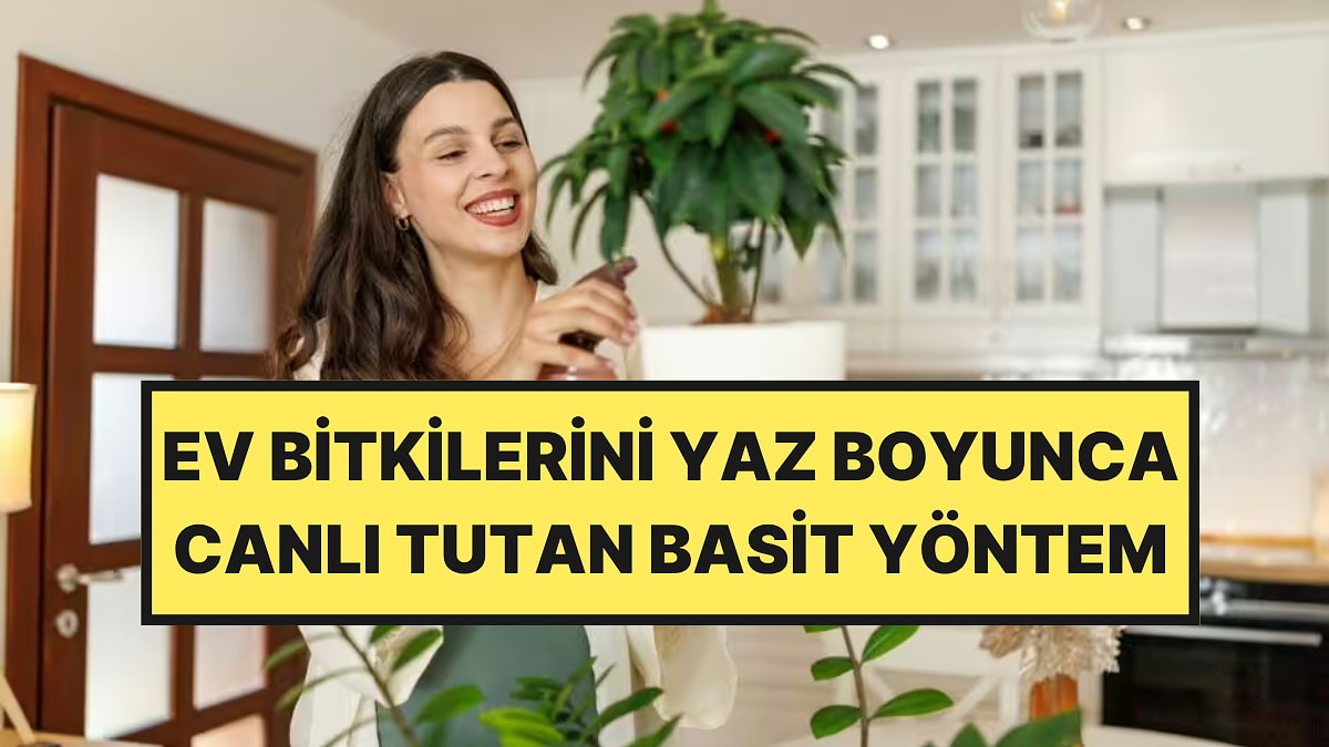 Kavurucu Sıcaklarda Ev Bitkilerini Ayakta Tutan Formül Belli Oldu