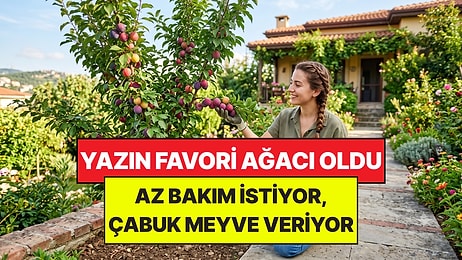 Bahçe Uzmanları Yazın Favori Ağacını Açıkladı: Az Bakım İstiyor, Ağustos’ta Meyve Veriyor!