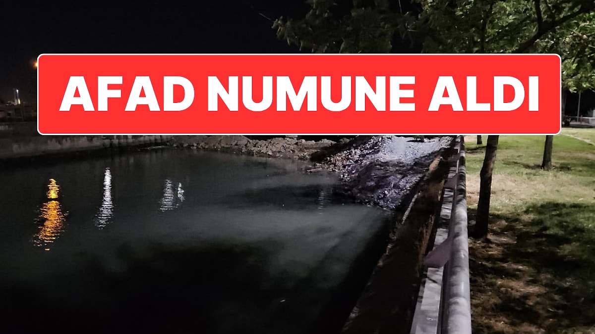 İstanbul’da Endişelendiren Toplu Balık Ölümleri: AFAD İnceleme Başlattı