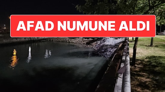 İstanbul’da Endişelendiren Toplu Balık Ölümleri: AFAD İnceleme Başlattı