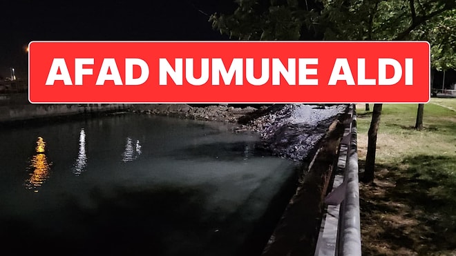 İstanbul’da Endişelendiren Toplu Balık Ölümleri: AFAD İnceleme Başlattı
