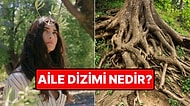 Zeytin Ağacı Dizisiyle Meşhur Olan Aile Dizimi Nedir? Aile Dizimi Nasıl Yapılır?