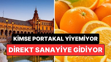 50 Bin Portakal Ağacı Olsa da Kimsenin Yiyemediği Şehir: Direkt Sanayiye Gidiyor!