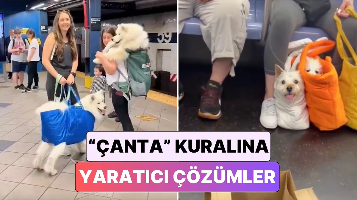 New York Metrosu'nun "Evcil Hayvanı Çantada Taşıma Kuralı" Yaratıcılık Yarışına Dönüştü