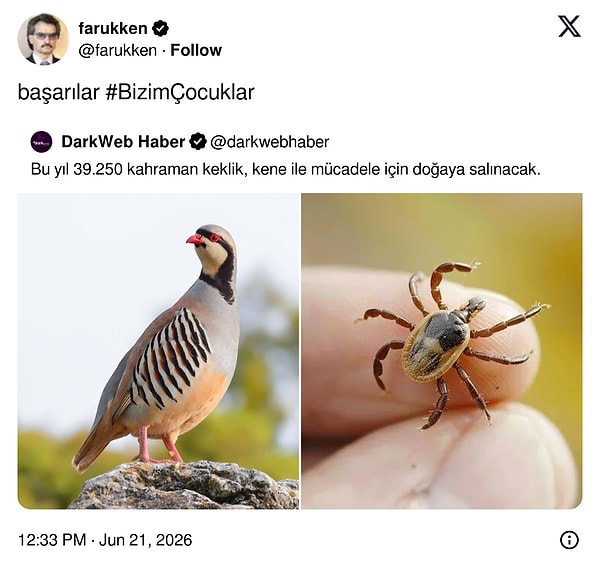 👇