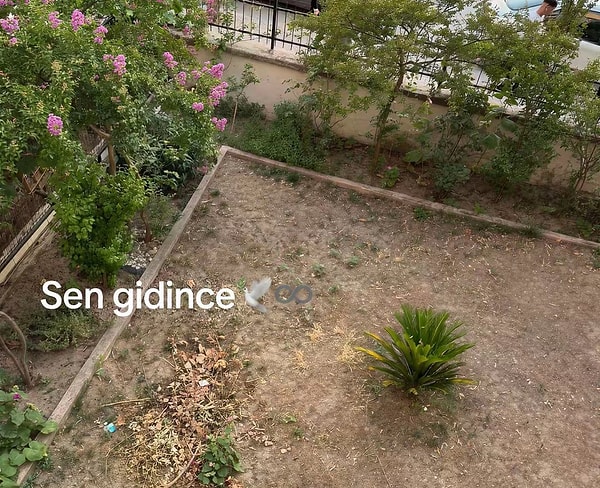 Babasının vefatından sonra "Before/After" gönderisi paylaşan kullanıcıya yorumlar gecikmedi.