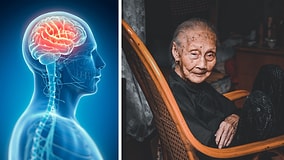 The Formula That Rejuvenates the Brain by 13 Years!