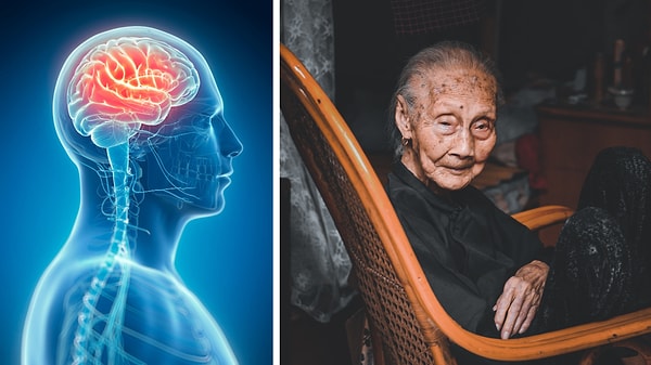 The Formula That Rejuvenates the Brain by 13 Years!