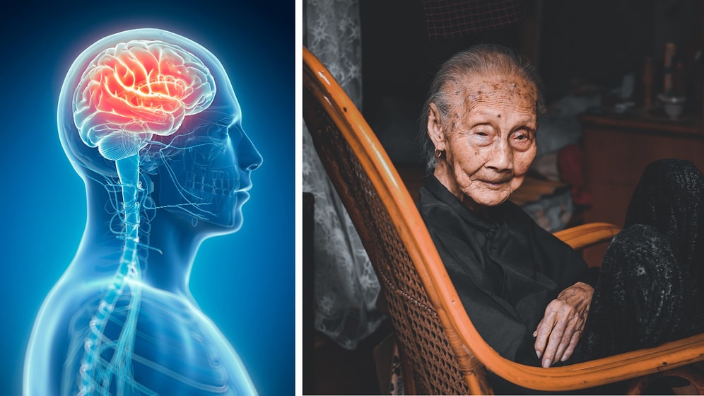 The Formula That Rejuvenates the Brain by 13 Years!