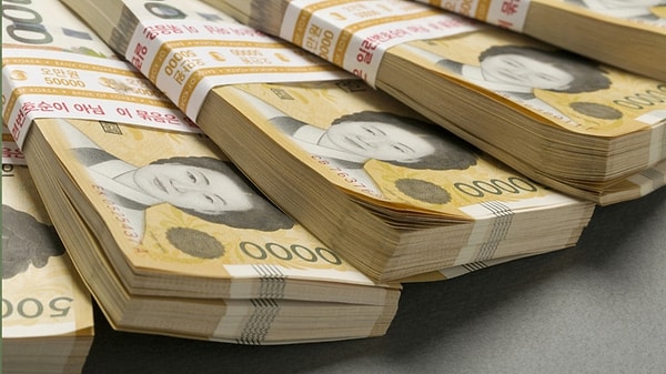 Ördekli ve Ayılı Banknotlarla 45 Bin Dolarlık Vurgun!