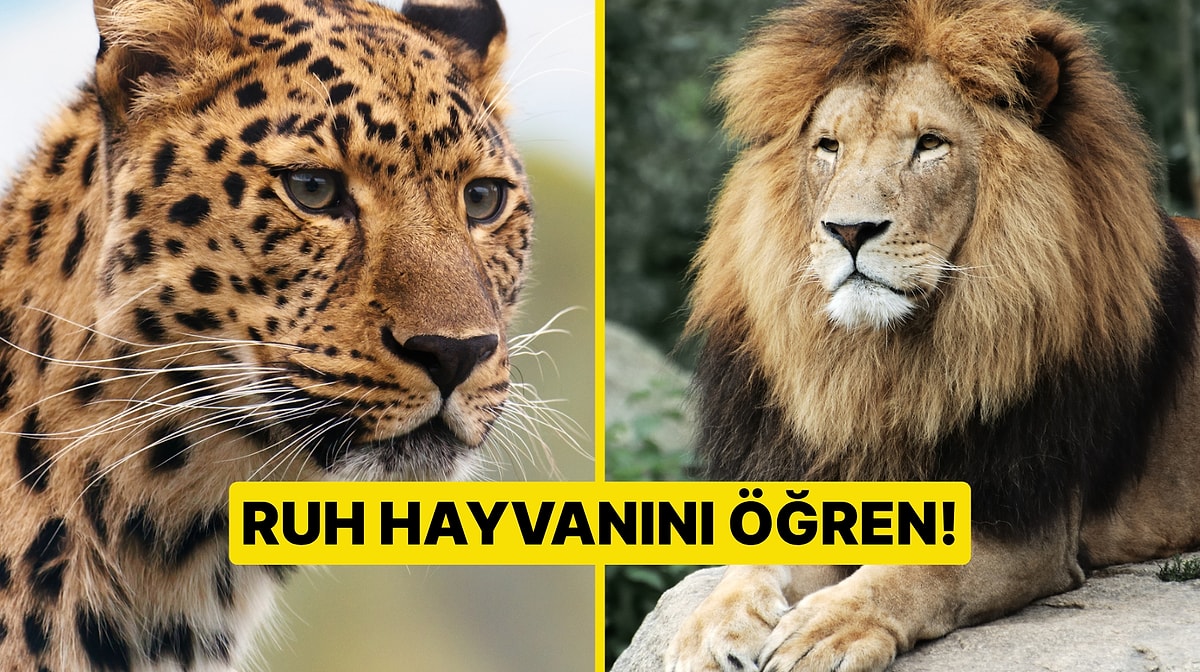 Burçlar ve Ruh Hayvanları! Senin Ruhunun Hayvanı Hangisi?