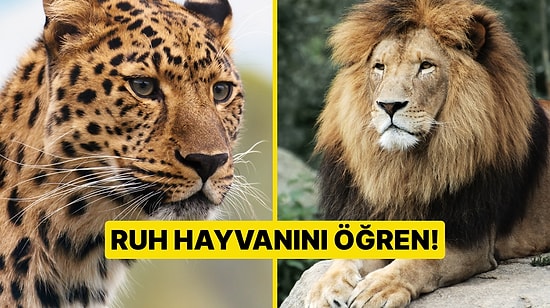 Burçlar ve Ruh Hayvanları! Senin Ruhunun Hayvanı Hangisi?