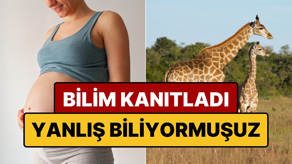 Bilim Kanıtladı: Doğumla İlgili Doğru Sandığımız Şey Yanlışmış!