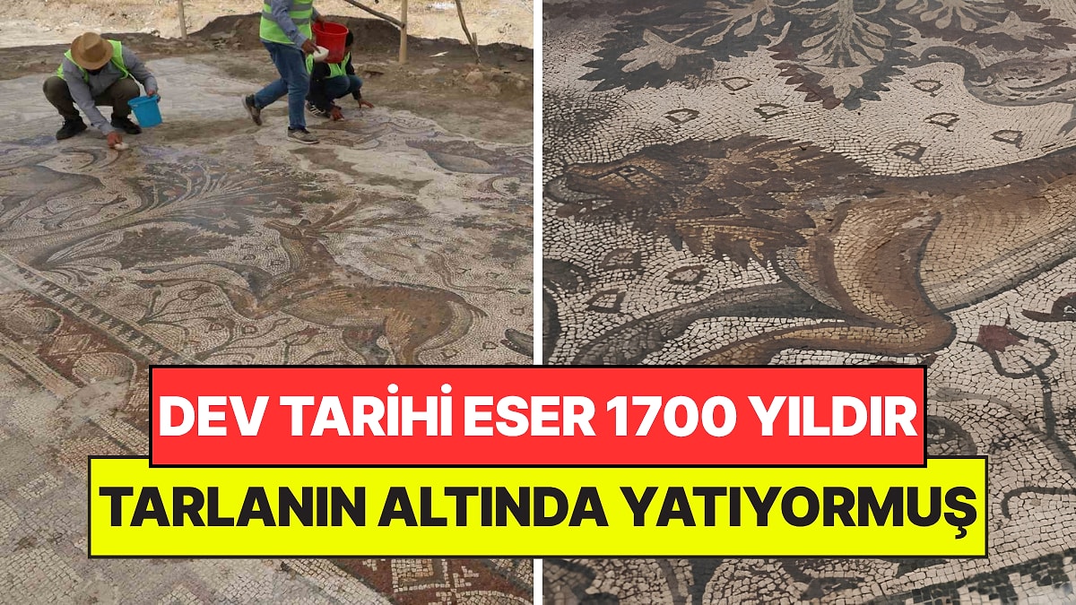 Fidan Dikerken Kazara Buldu: Tam 1700 Yıllık Dev Eser Türkiye'de Bir İlk Oldu