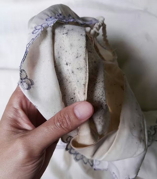 How to Remove Wardrobe Mold and Bad Odors Easily