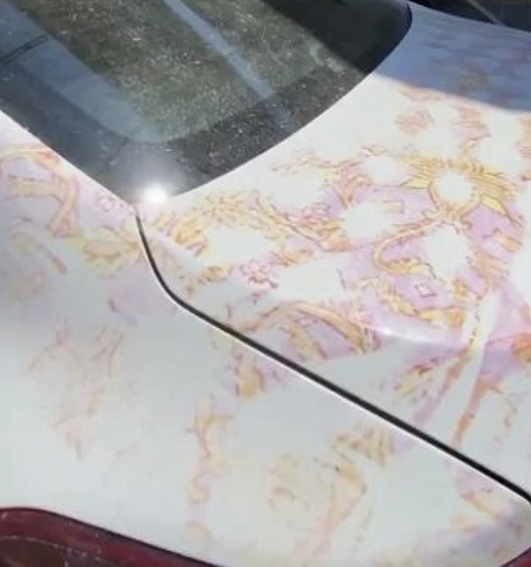 The clear varnish layer of your vehicle is quite sensitive.