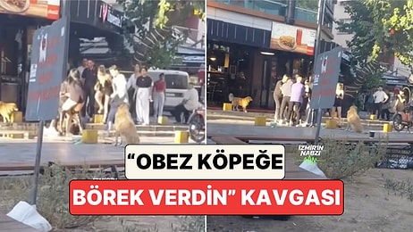 İzmir'de Bir Acayip Kavga: Bornova'da Obez Köpeğe Börek Verme Tartışması Kavgayla Sonuçlandı