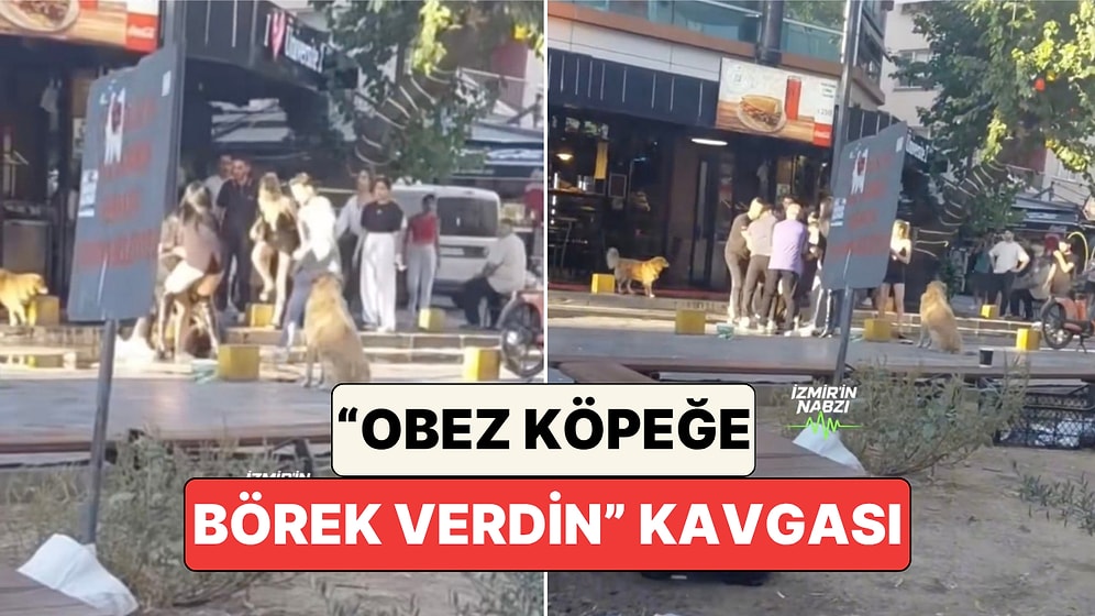 İzmir'de Bir Acayip Kavga: Bornova'da Obez Köpeğe Börek Verme Tartışması Kavgayla Sonuçlandı