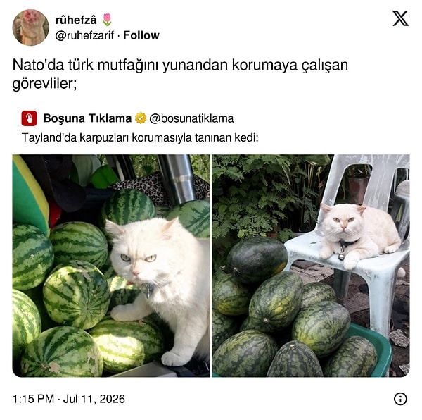 Hazırsan başlayalım 🚀