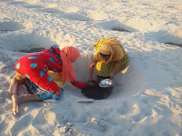 Ganj-Brahmaputra deltası üzerinde kurulu olan Bangladeş, son yıllarda nehir yataklarının erozyona uğramasıyla büyük bir çevre felaketi yaşıyor.